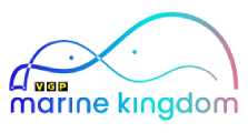 VGP Marine Kingdom