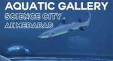 aquatic gallery Ahmedabad